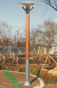 ��ǰ ������