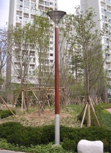 ��ǰ ������