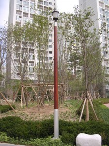 ��ǰ ������